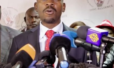 Nelson Chamisa Zimbabwe